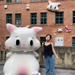 重庆解放碑周边网红景点去重庆旅游4天3夜游玩路线2025年6月6日