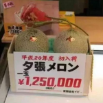 娱乐大瓜吃不停,大瓜不断来袭！