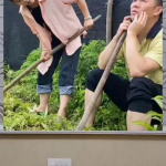 娱乐八卦吃瓜群众的,揭秘吃瓜群众的八卦盛宴
