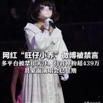 吃瓜娱乐太太是谁扮演的,揭秘“吃瓜娱乐太太”幕后扮演者
