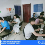 网络优化公司智搜宝,引领网络优化新潮流，助力企业高效提升搜索引擎排名与用户体验”