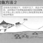 海鲈钓法,从钓具选择到实战技巧详解