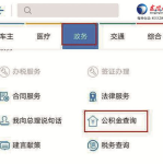 东营公积金查询,一站式服务指南