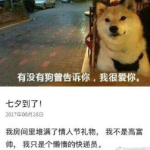 七夕搞笑段子,趣味横生的搞笑段子集锦